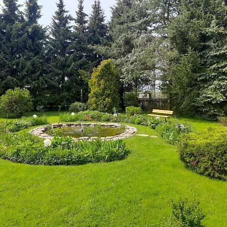 Apartament W Rowni Chocholow Dış mekan fotoğraf