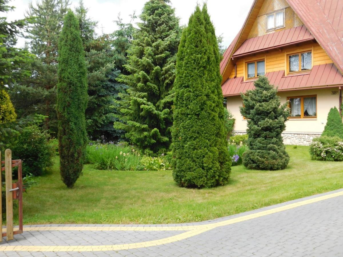 Apartament W Rowni Chocholow Dış mekan fotoğraf