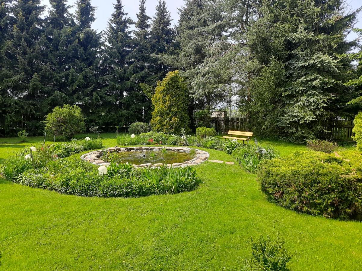 Apartament W Rowni Chocholow Dış mekan fotoğraf